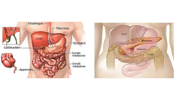 Abdominal Distension Treatment in Sant Ravidas Nagar