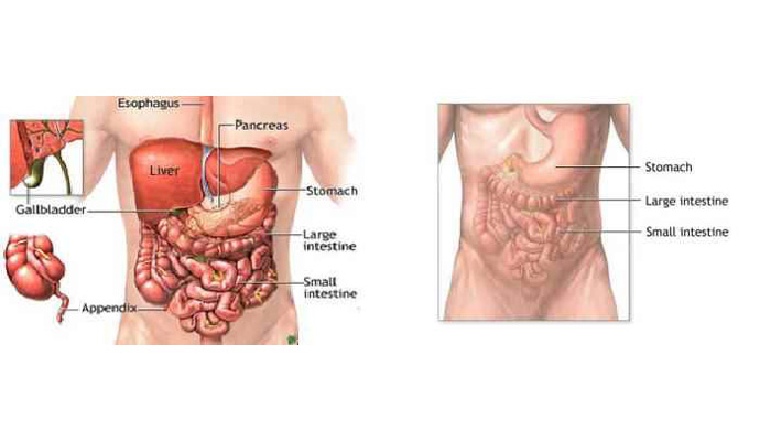 Stomachache Treatment in Harautha