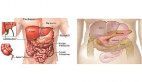 Abdominal Distension Treatment in Chakathal