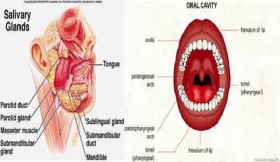 Oral Cavity And Parotid Gland Treatment in Gonda