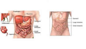 Stomachache Treatment in Bistauli